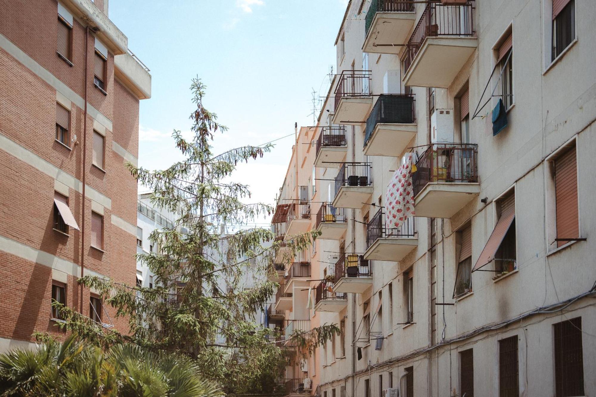La Casetta Al Mercato Civitavecchia Habitación foto